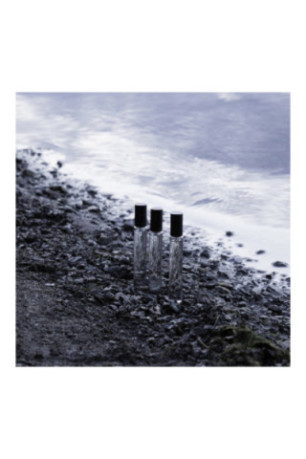 Discovery Gift Muse Collection (3pcs): Rán + Rose Taif + Monde à part Sentier