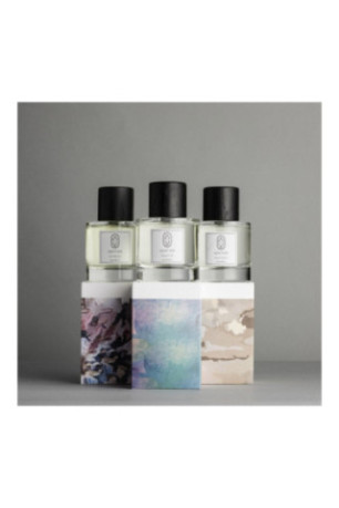 Lot de 3 parfums - Oud Gaiac + Le Marais + Rose Taif - 3x100ml