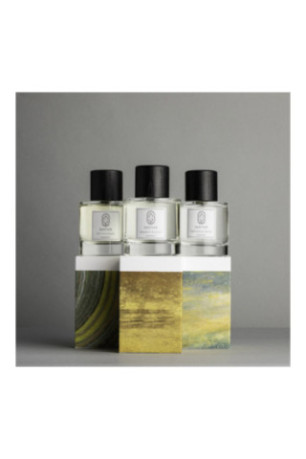 Lot de 3 parfums - Mémoire du temps + Balade in Autumn + Path of Lemons - 3x100ml