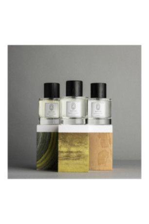 Lot de 3 parfums - Path of Lemons + Balade in Autumn + Esteemed Musk - 3x100ml