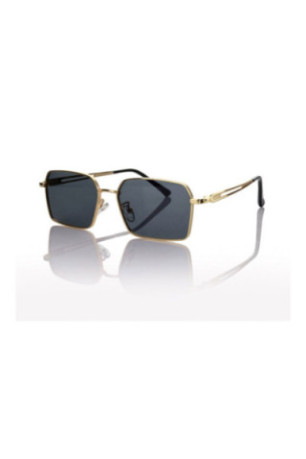 Lunettes de soleil - Grey/Gold/Gold