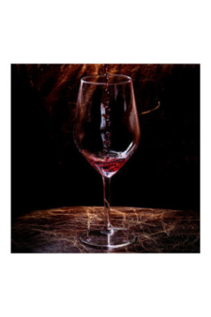 Lot de 6 Verres Vitus 50cl - Classwine