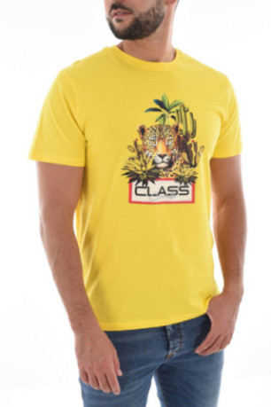 TShirt 100% coton gros print logo Cavalli Class