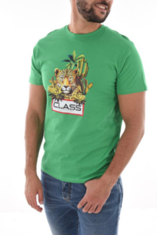 TShirt 100% coton gros print logo Cavalli Class