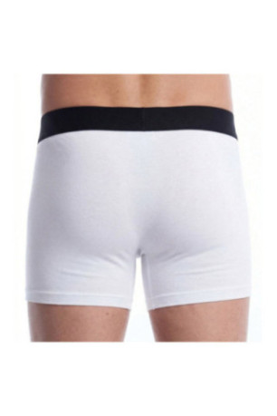 Boxer - White