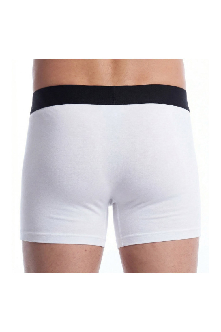 Boxer - White