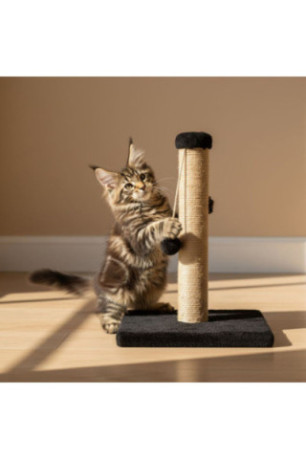 Griffoir pour chat - Noir