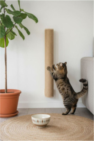 Griffoir pour chat - Beige