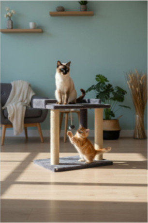 Lit pour chat - Anthracite