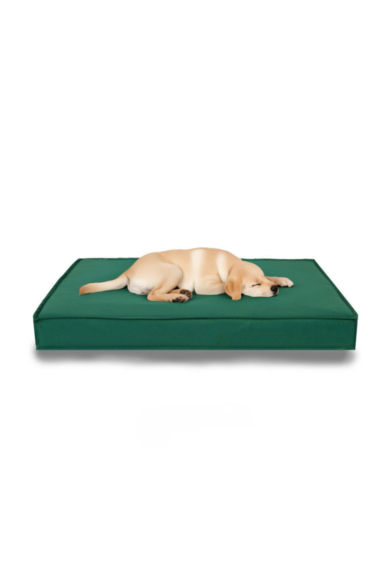 Lit pour animaux - Vert