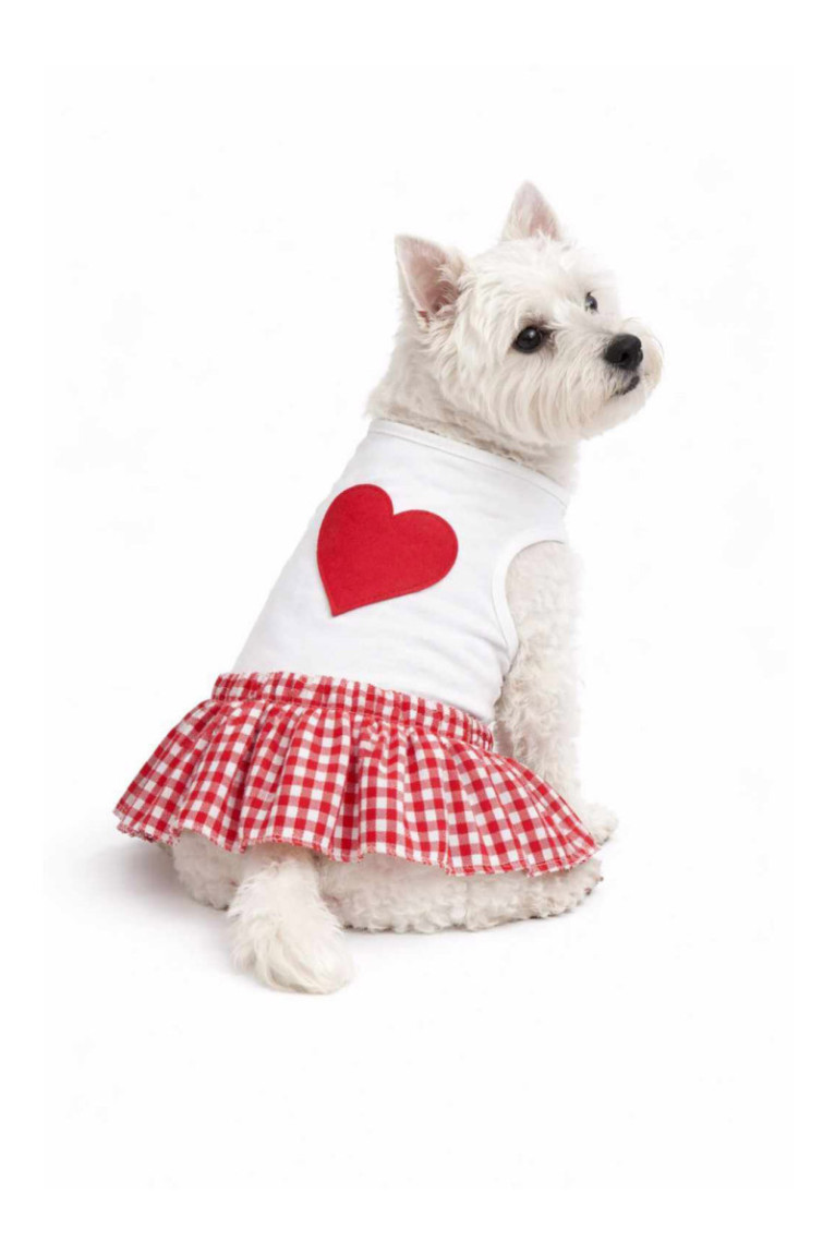 Robe pour chien - Rouge Blanc