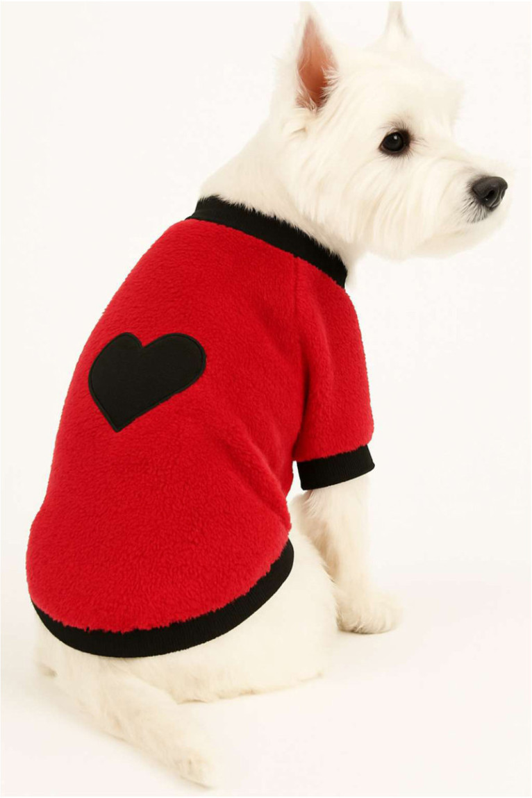 Sweat à capuche pour chien - Rouge