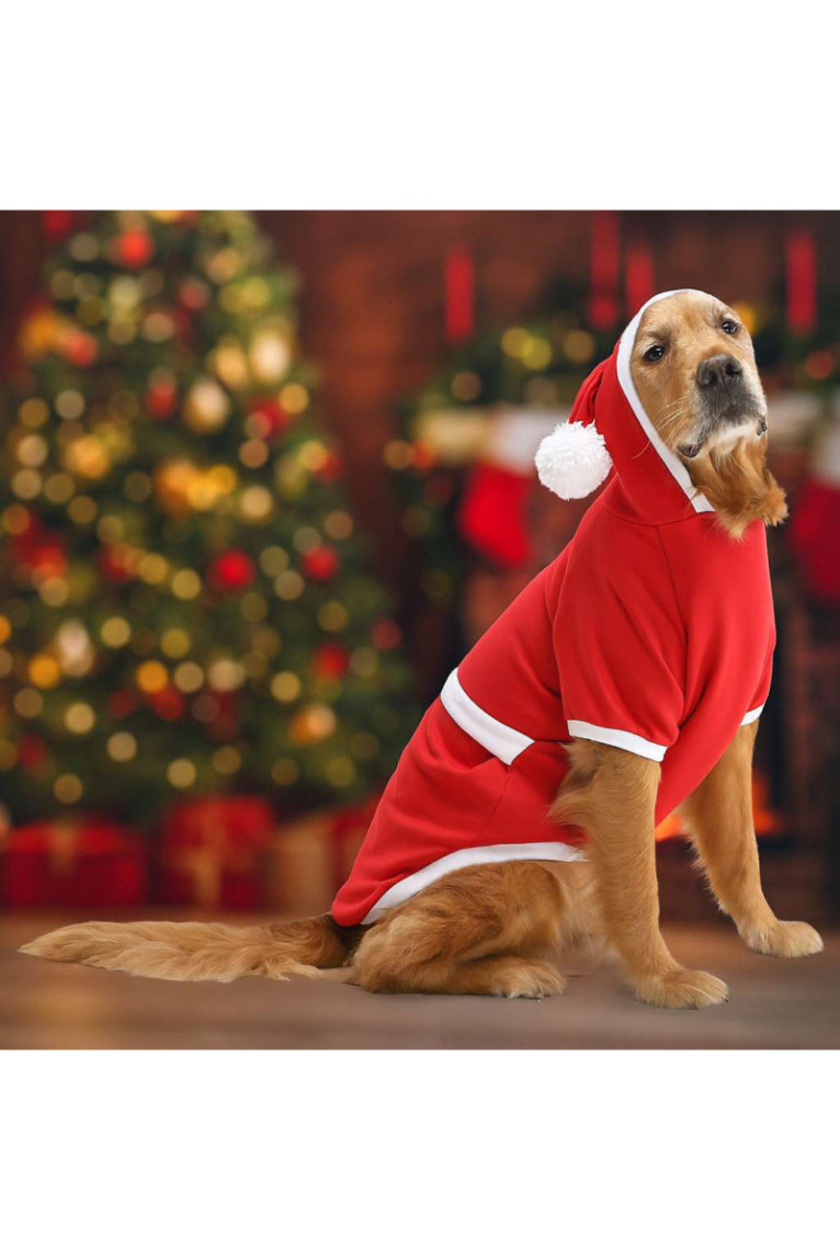 Sweat à capuche pour chien - Rouge