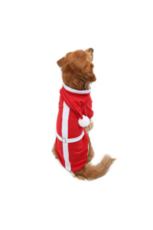Sweat à capuche pour chien - Rouge