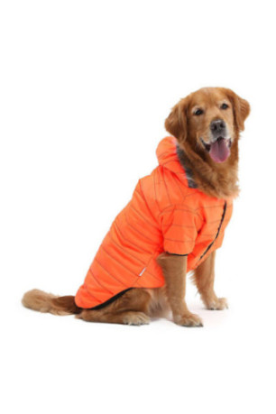 Sweat à capuche pour chien - Orange