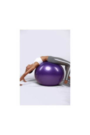 Gymball 75Cm - Violet