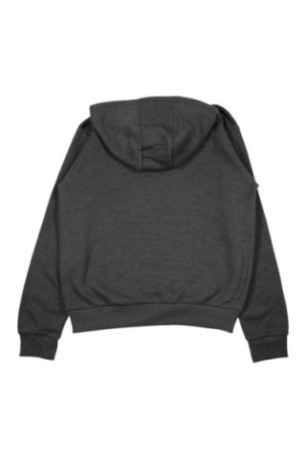 Sweat à capuche Gris foncé Ellesse Ellesse