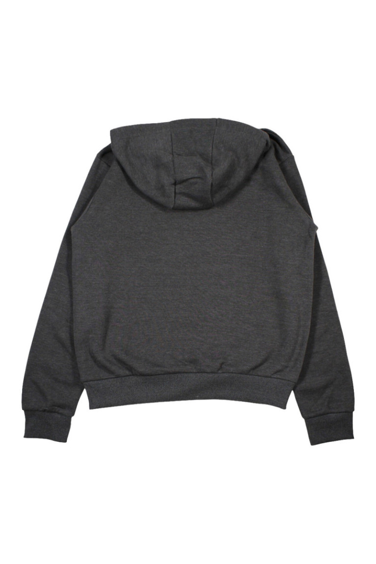 Sweat à capuche Gris foncé Ellesse Ellesse