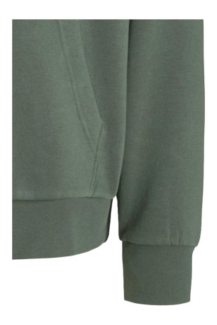 Sweat à capuche Homme Vert laurier Jack & Jones