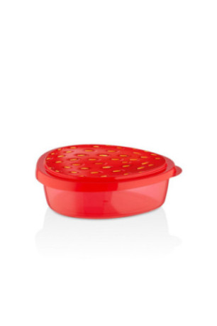 Boîte de conservation (6 pièces) - Rouge Vert