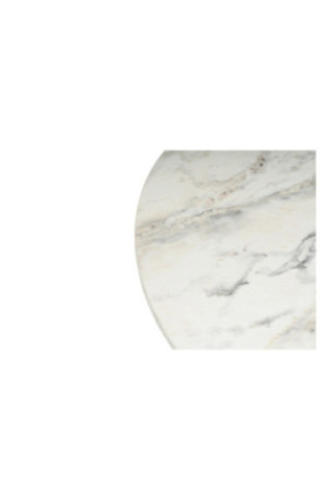 Table basse - Marbre de Freesia