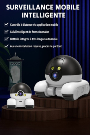 Caméra de surveillance PTZ IP HD 1080p I NEED ME ONE