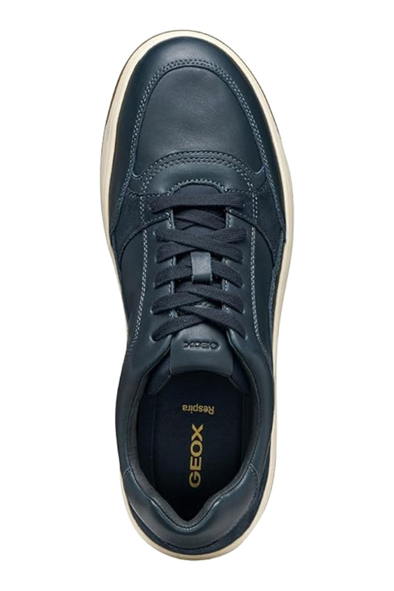 Sneaker SEDRAL COURT Geox