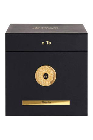 Gumin Extrait de parfum 100ml Unisexe Tiziana Terenzi