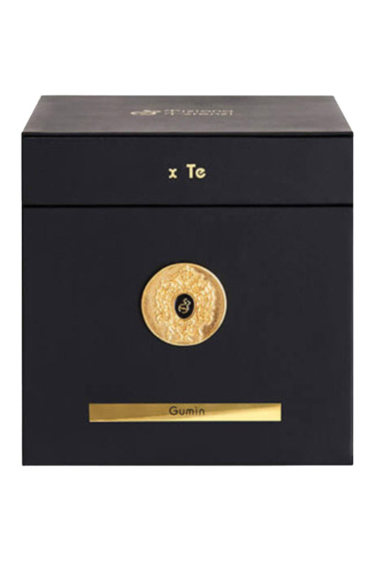 Gumin Extrait de parfum 100ml Unisexe Tiziana Terenzi
