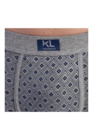 Lot de 2 boxers - Gray