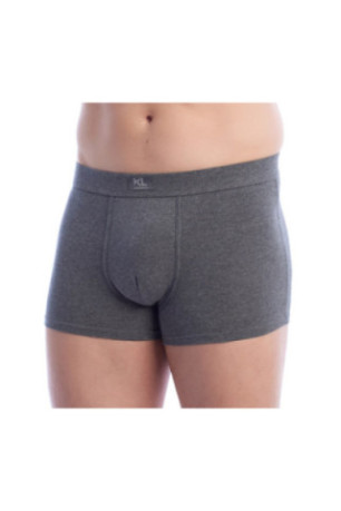 Lot de 2 boxers - Gray