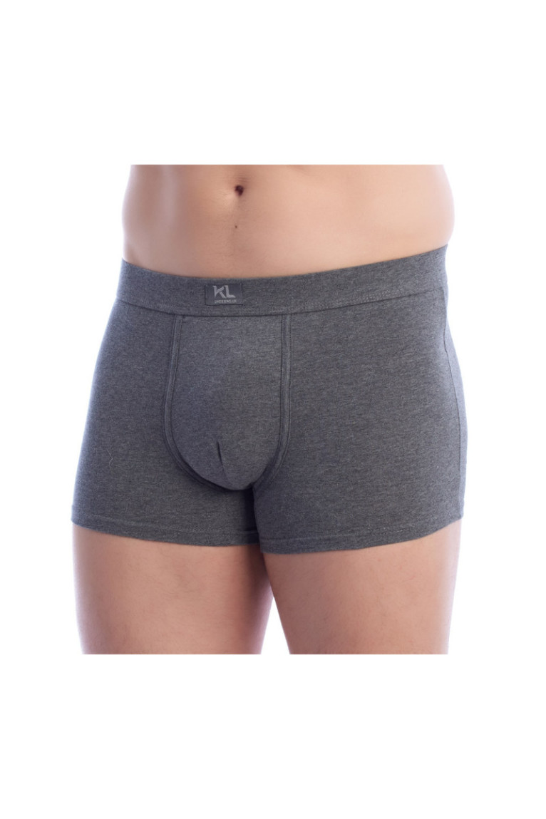 Lot de 2 boxers - Gray