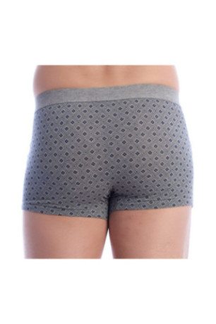 Lot de 2 boxers - Gray