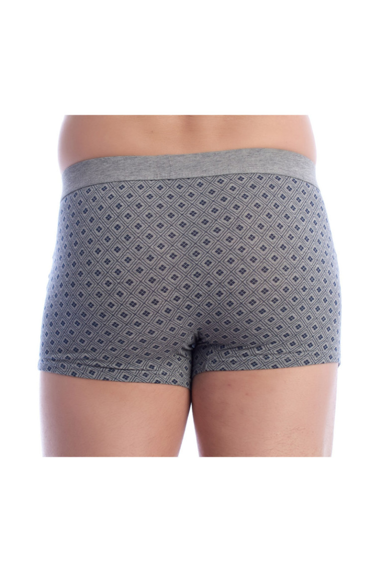 Lot de 2 boxers - Gray