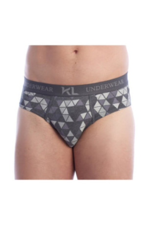 Lot de 2 slips - Gray