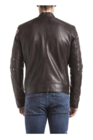 Veste - Gabbs - Brown