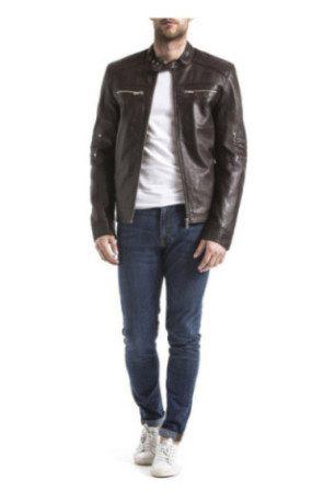 Veste - Gabbs - Brown