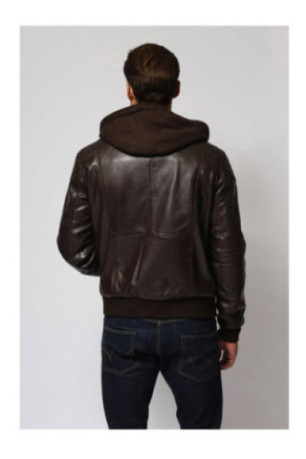 Veste - Radar - Brown