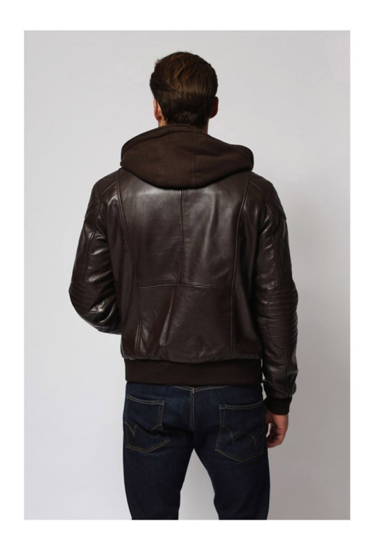 Veste - Radar - Brown