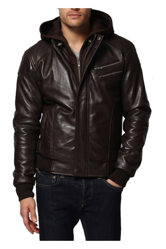 Veste - Radar - Brown