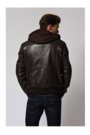 Veste - Radar - Brown