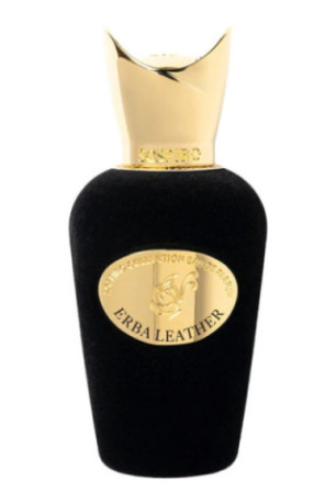 Erba Leather EDP Unisexe 100 ml