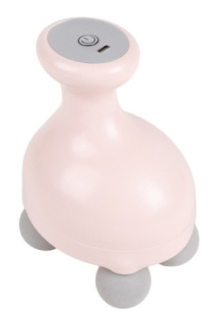 Mini masseur portatif vibrant 4 têtes 6 intensités Poudre