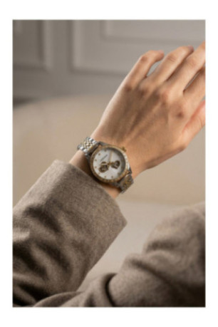 Montre Automatique Femme - Silver/2 tones: silver + gold/White Mother Of Pearl