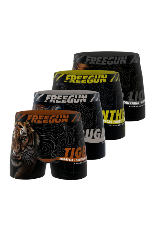 FG/1/BM/PK4/B04 FREEGUN
