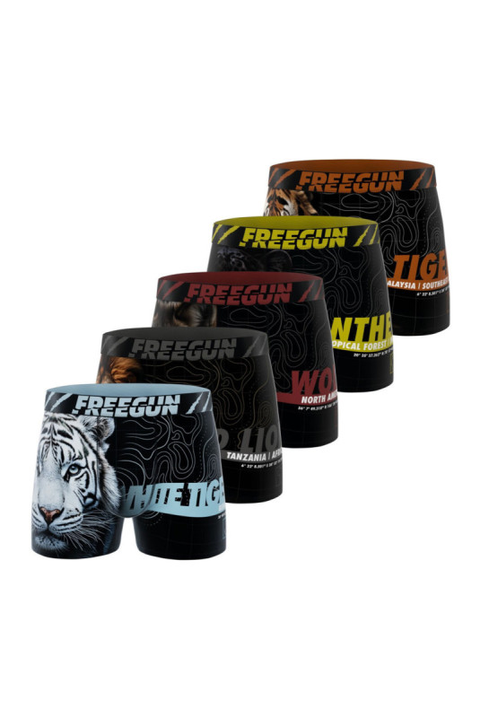 FG/1/BM/PK5/B04 FREEGUN