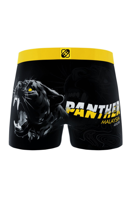 Lot de 4 boxers Premium