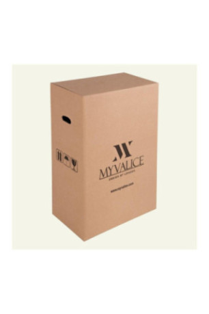 Ensemble de valises (2 pièces) - Bleu