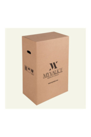Ensemble de valises (2 pièces) - Noir