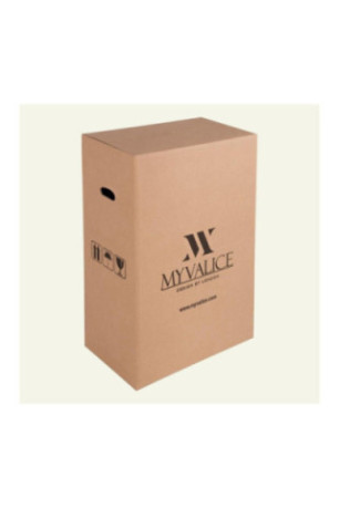Ensemble de valises (2 pièces) - Or
